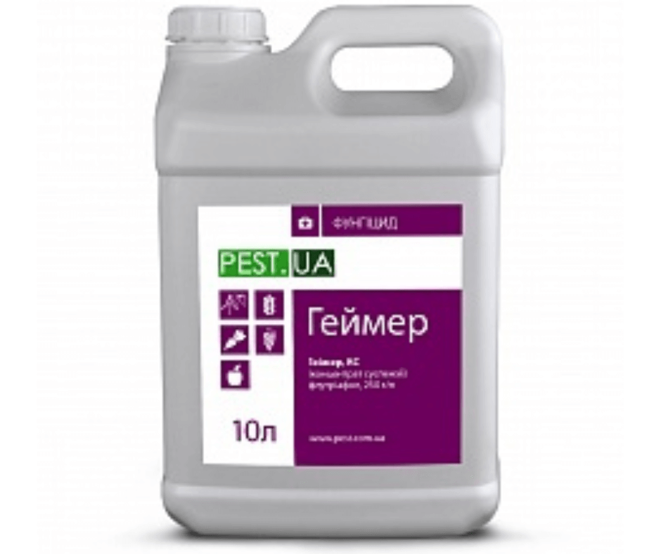 Дизайн без назви (100) (1)