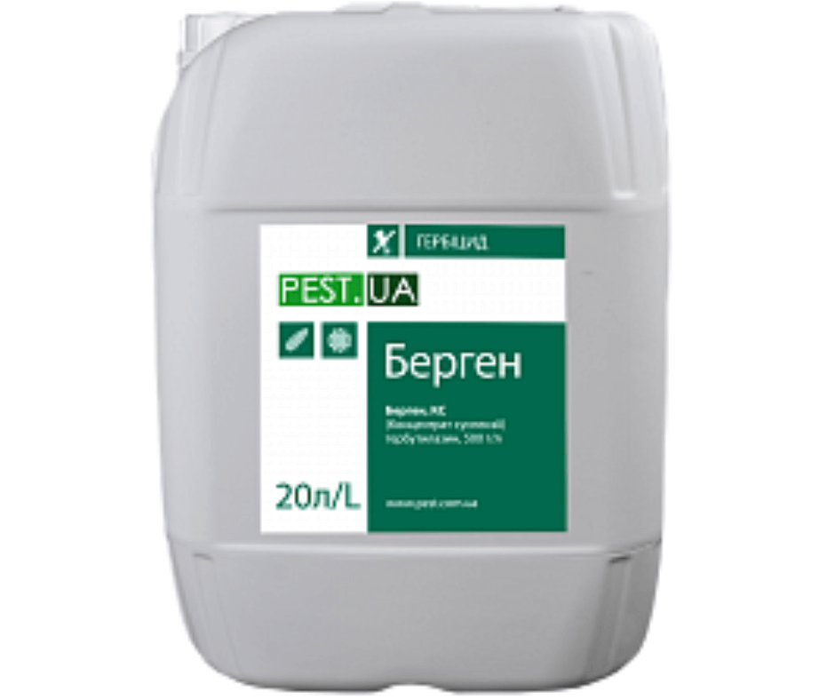 Дизайн без назви 2024 08 26t151559.149 (1)