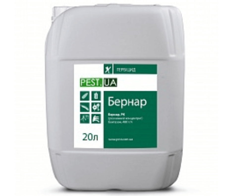 Дизайн без назви 2024 08 26t155122.700 (1)