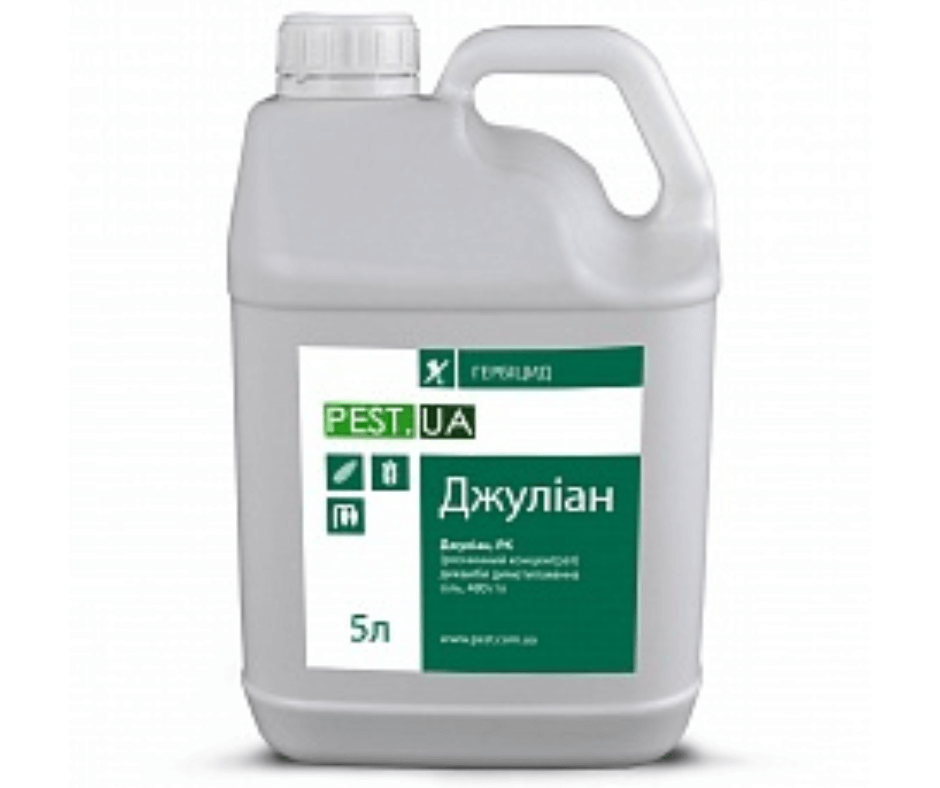 Дизайн без назви 2024 08 26t161809.293 (1)