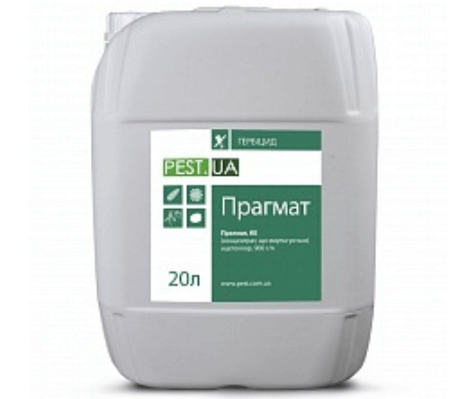 Дизайн без назви 2024 08 26t170335.224 (1)