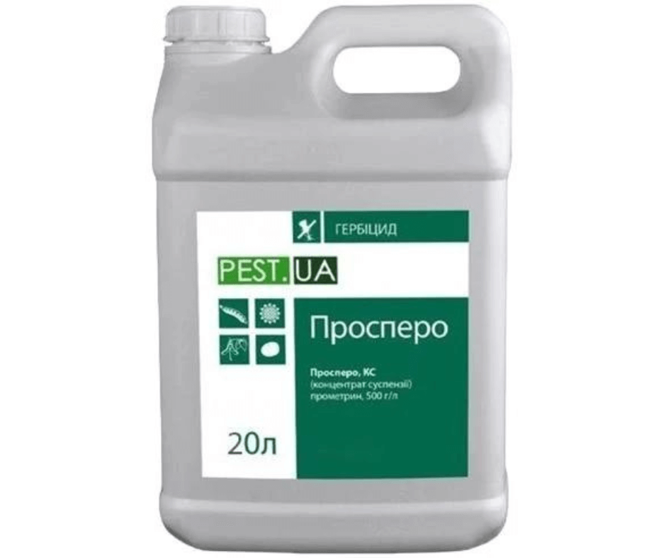 Дизайн без назви 2024 08 26t173052.385 (1)