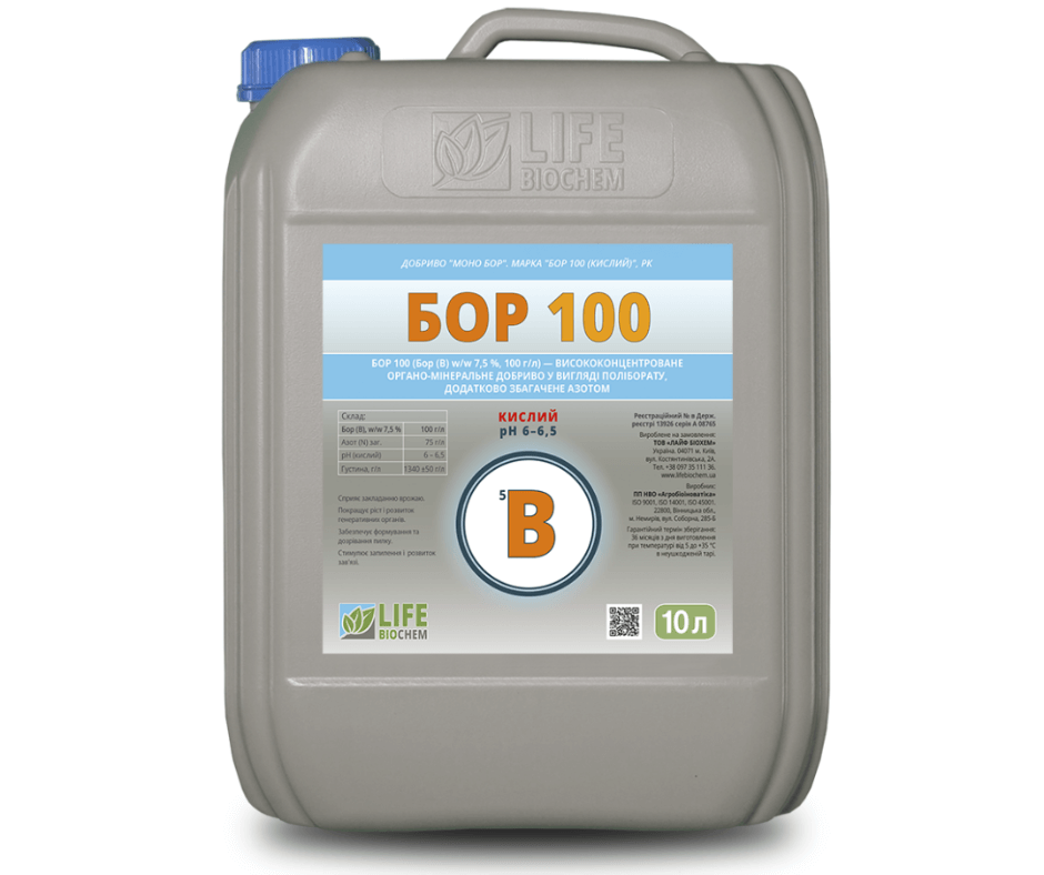 Дизайн без назви 2024 08 27t113359.970 (1)