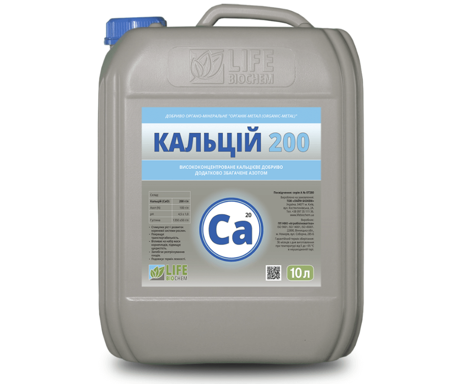 Дизайн без назви 2024 08 27t134853.538 (1)