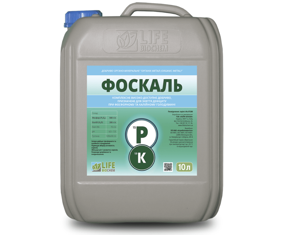 Дизайн без назви 2024 08 27t152615.108 (1)