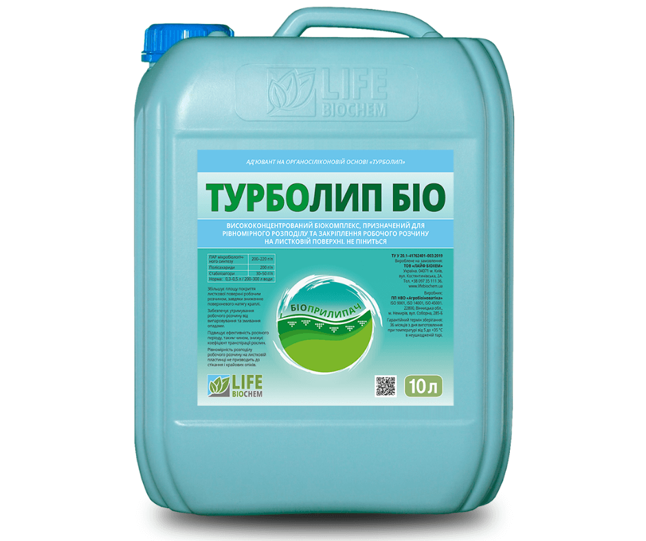 Дизайн без назви 2024 08 28t102016.860 (1)