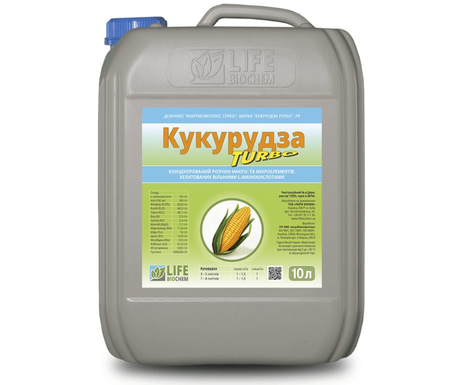 Дизайн без назви 2024 08 28t143642.827 (1)