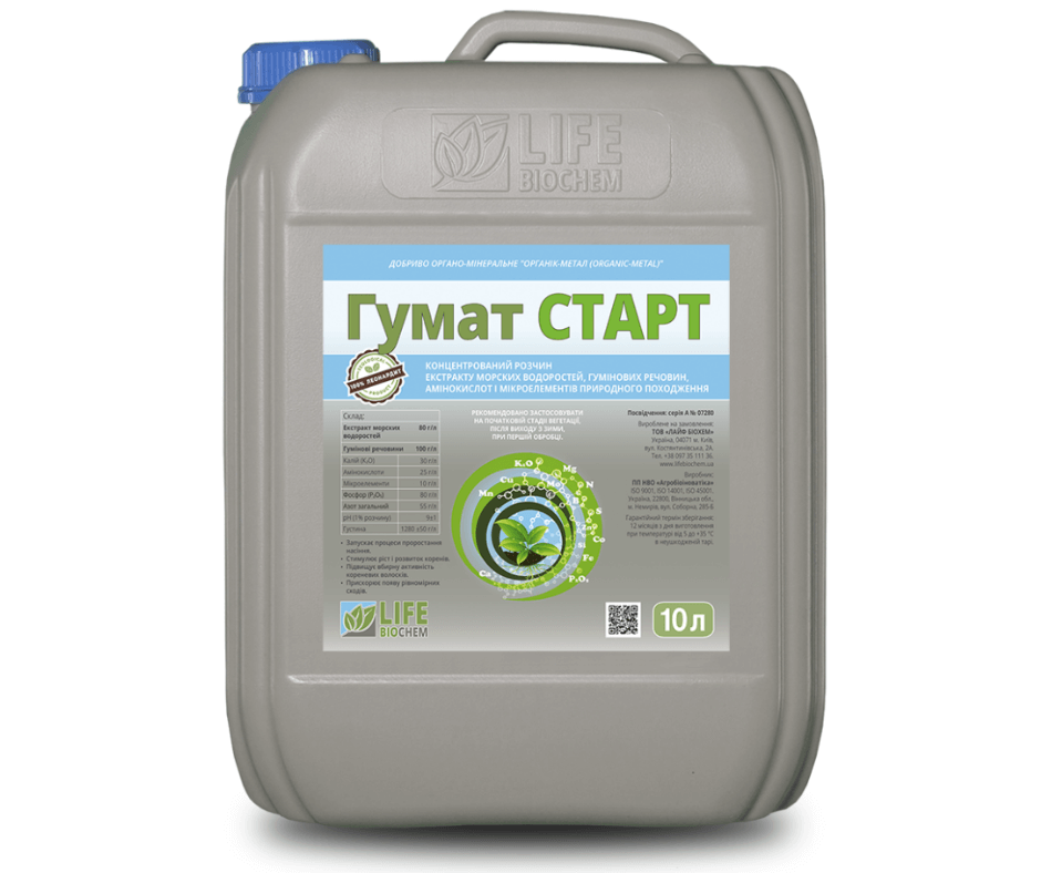 Дизайн без назви 2024 08 29t111512.355 (1)
