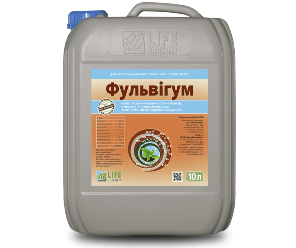 Дизайн без назви 2024 08 29t113823.861 (1)