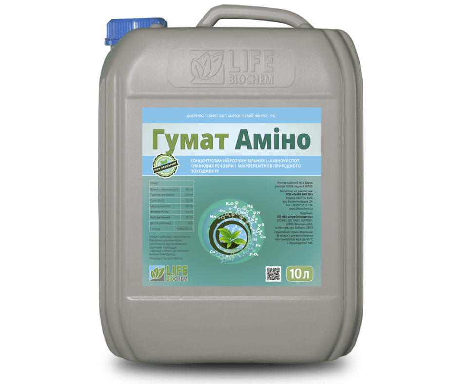 Дизайн без назви 2024 08 29t120850.640 (1)