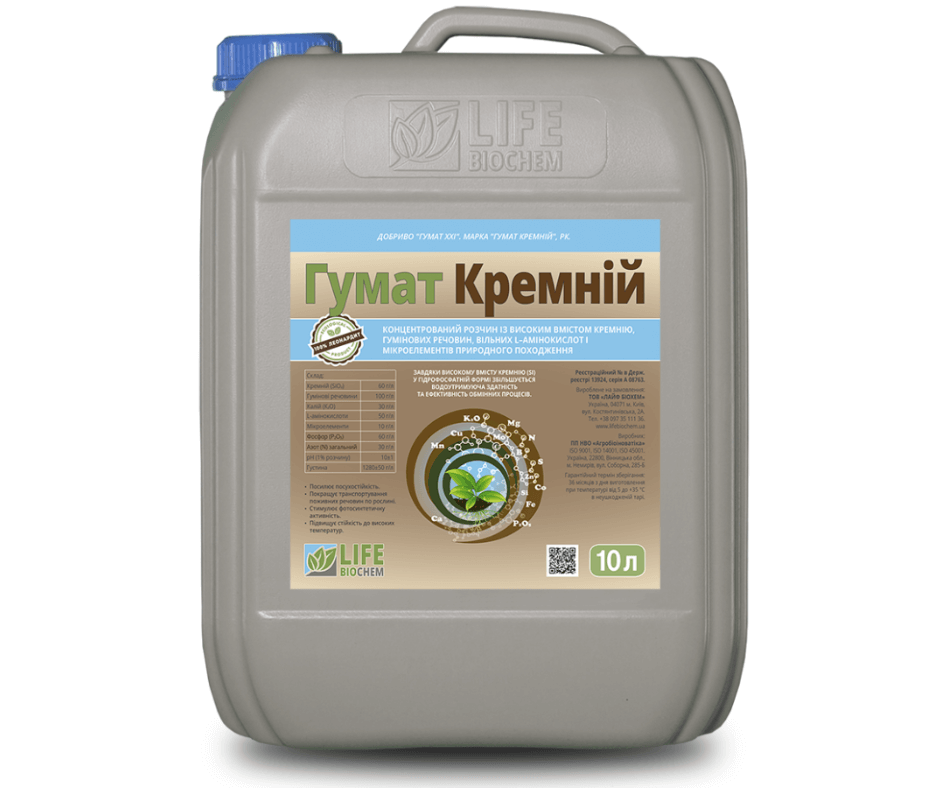 Дизайн без назви 2024 08 29t140515.560 (1)