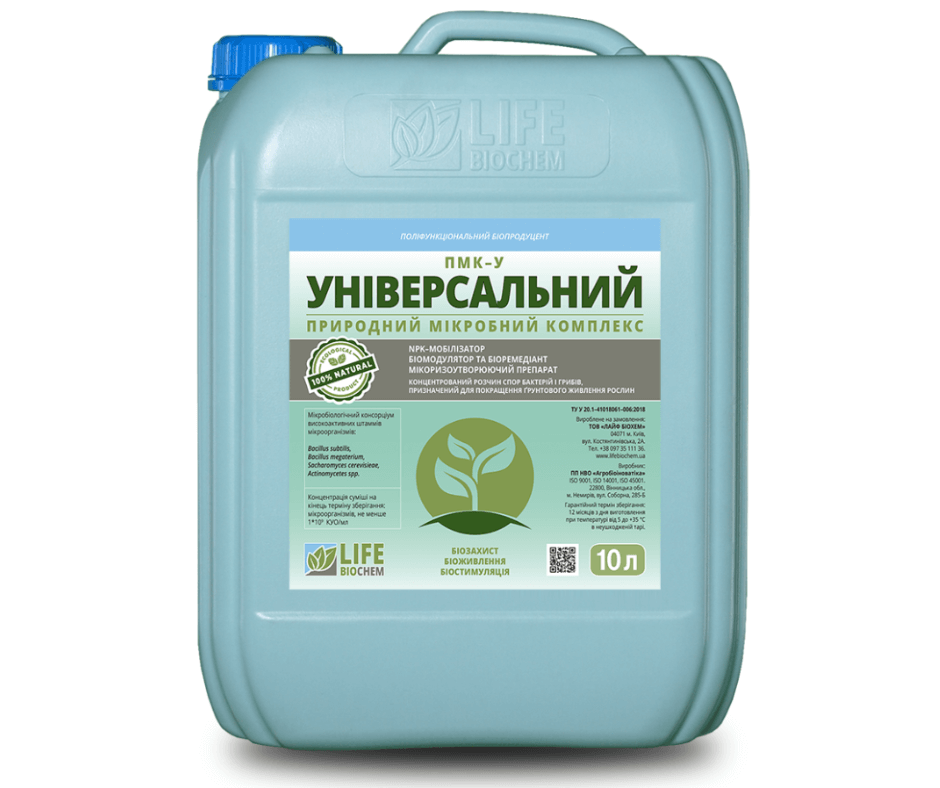 Дизайн без назви 2024 08 29t170812.024 (1)