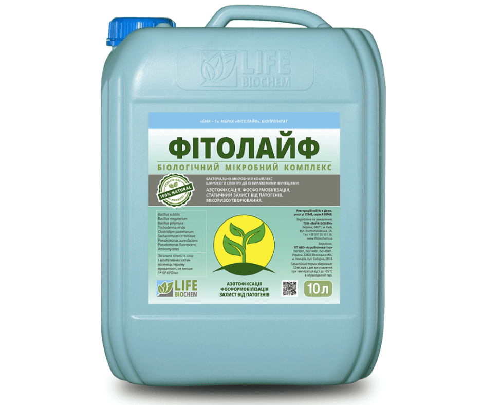 Дизайн без назви 2024 08 30t095637.946 (1)