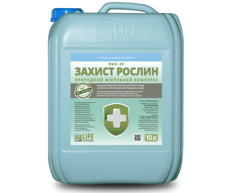 Дизайн без назви 2024 08 30t101540.572 (1)
