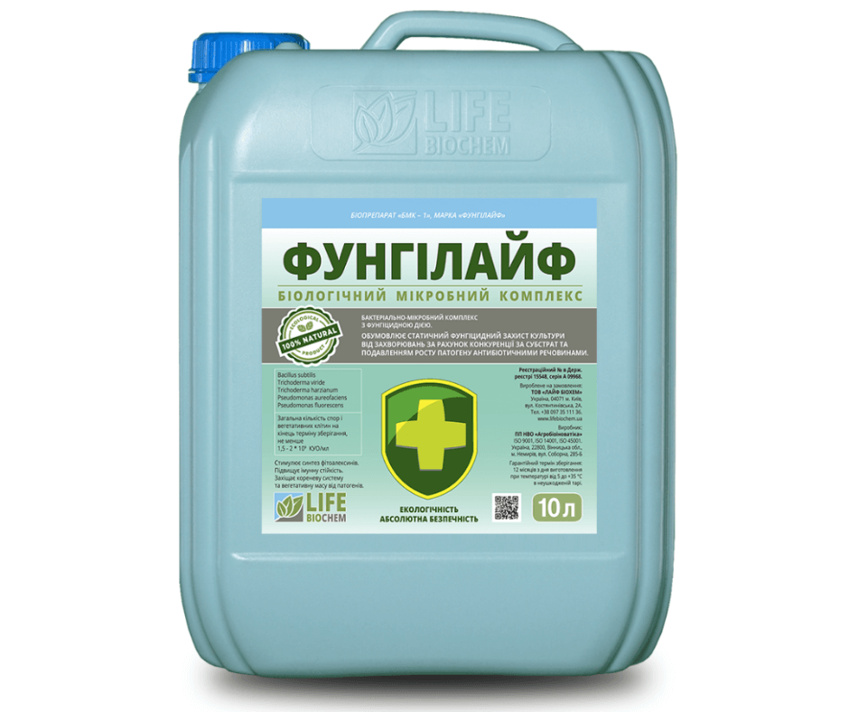Дизайн без назви 2024 08 30t104543.216 (1)