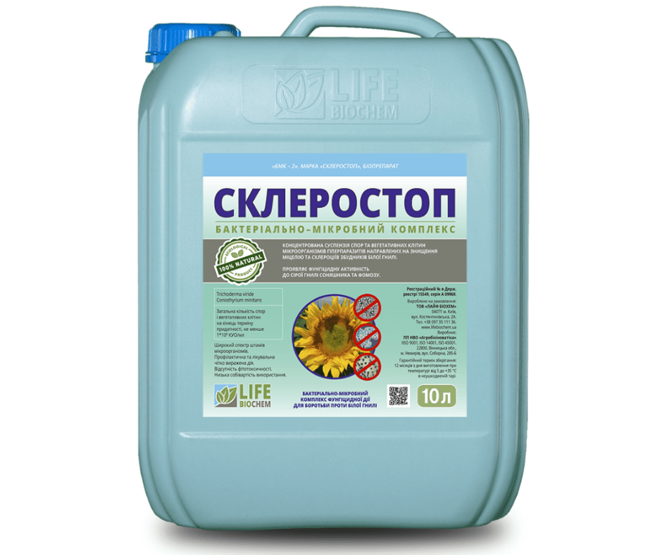Дизайн без назви 2024 08 30t110826.789 (1)