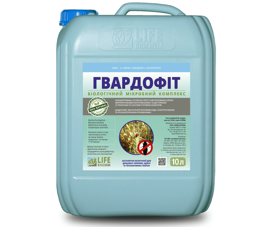Дизайн без назви 2024 08 30t112352.157 (1)