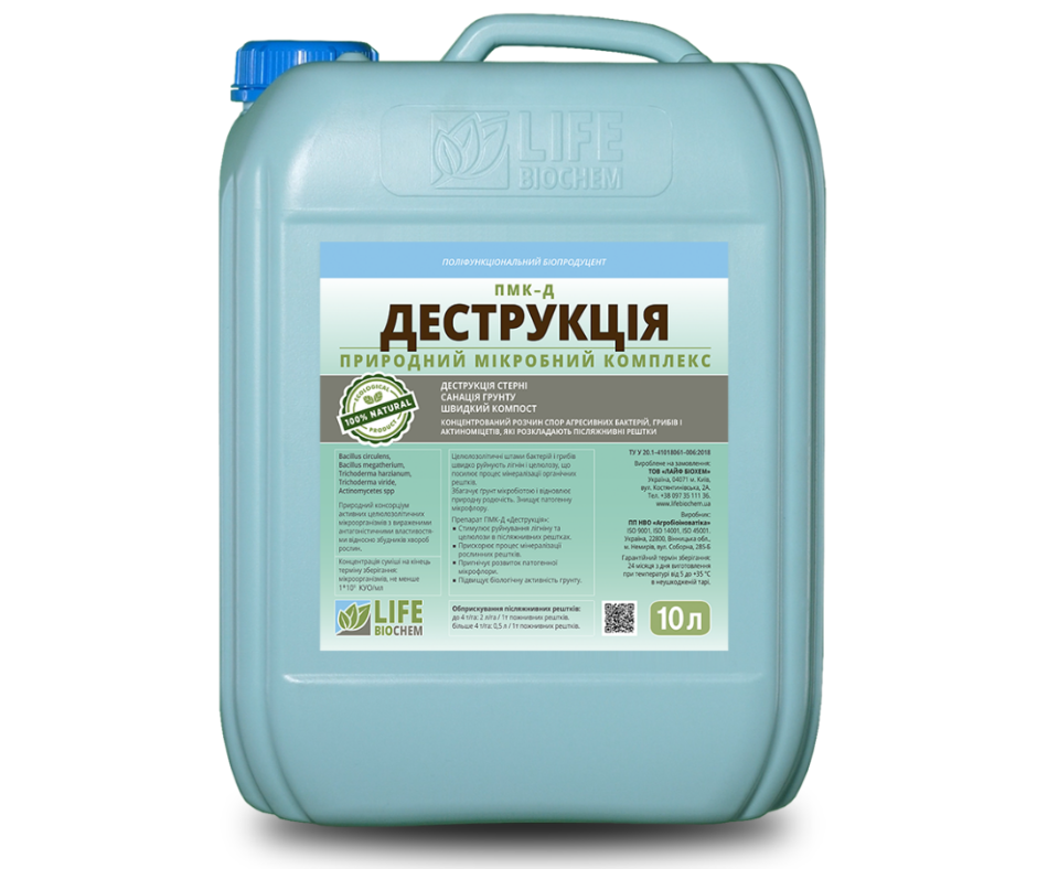 Дизайн без назви 2024 08 30t115739.922