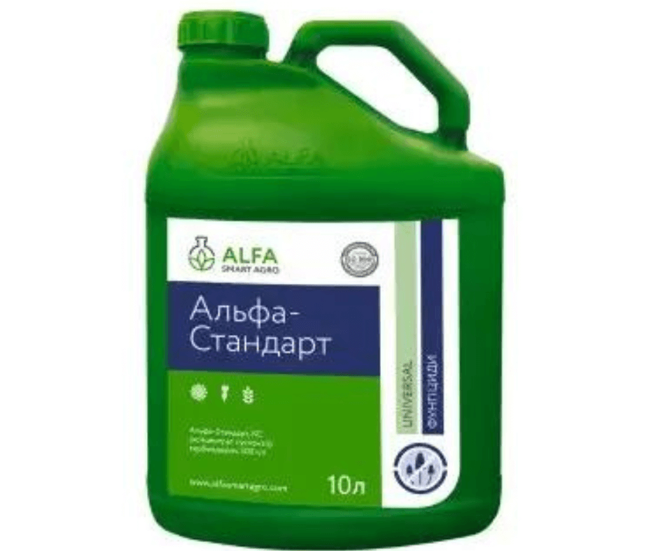 Дизайн без назви (40) (1)