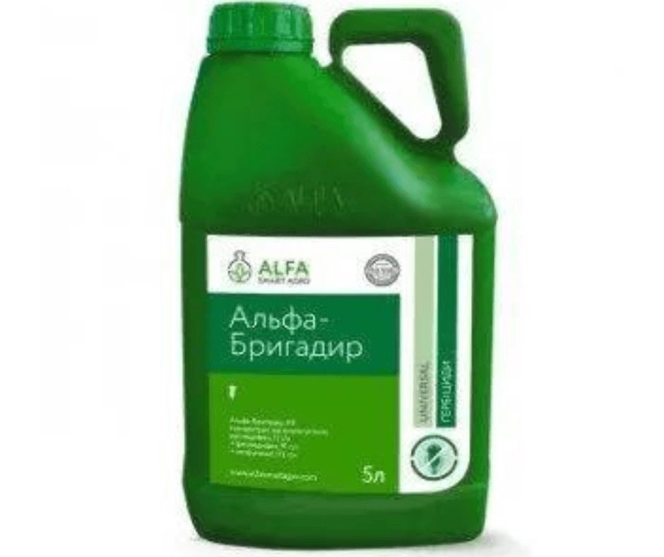 Дизайн без назви (67) (1)