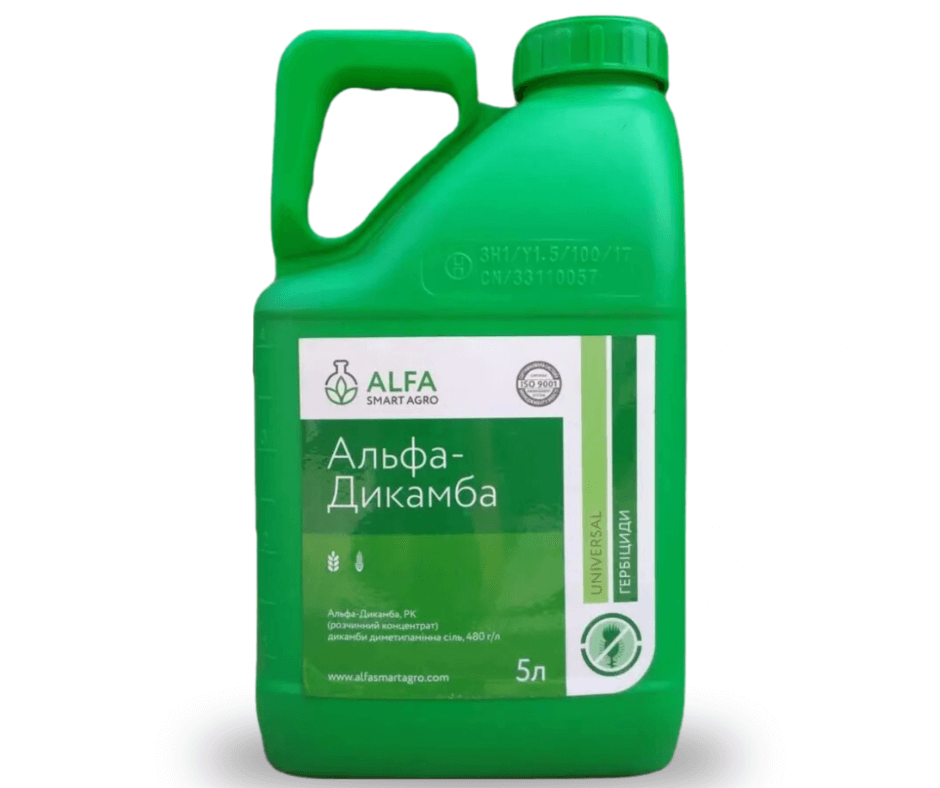 Дизайн без назви (68) (1)