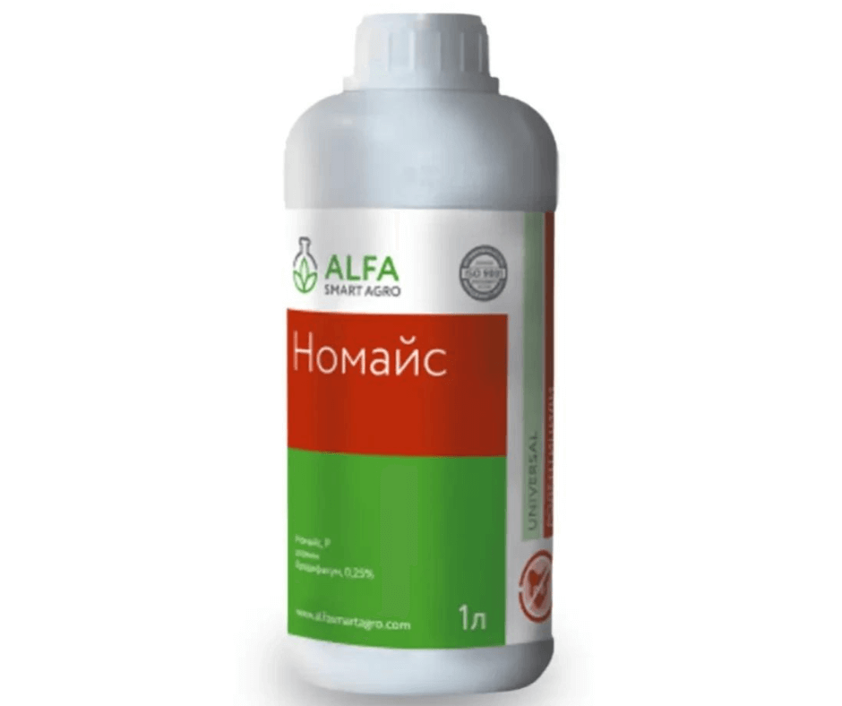 Дизайн без назви (74) (1)