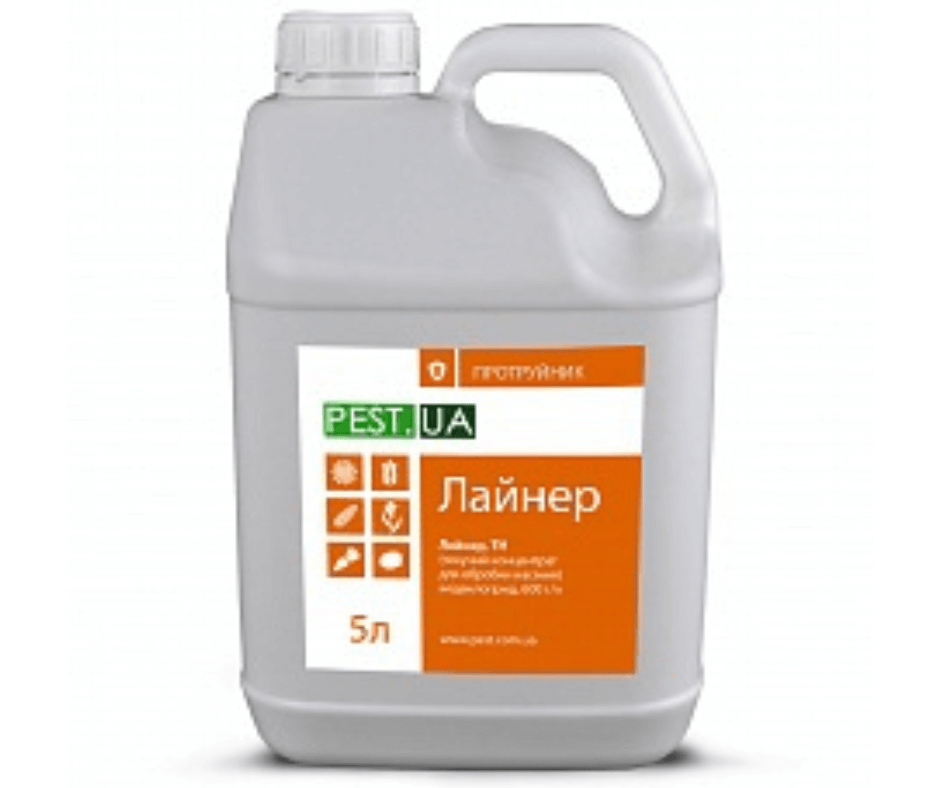 Дизайн без назви (97) (1)