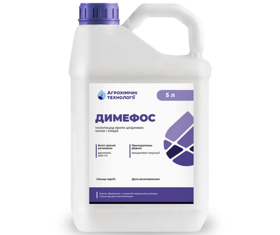 Дизайн без назви 2024 09 02t170751.415 (1)