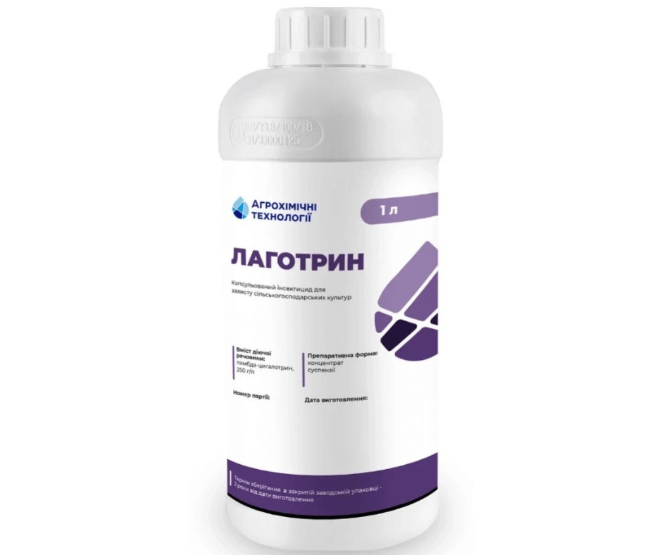 Дизайн без назви 2024 09 03t104335.296 (1)
