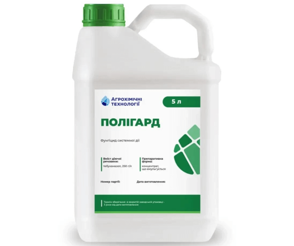Дизайн без назви 2024 09 03t152314.434 (1)