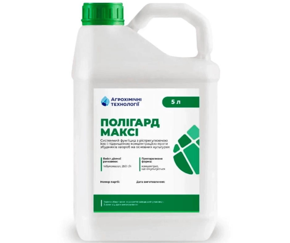 Дизайн без назви 2024 09 03t153716.112 (1)