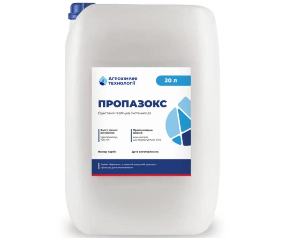 Дизайн без назви 2024 09 05t085936.106 (1)