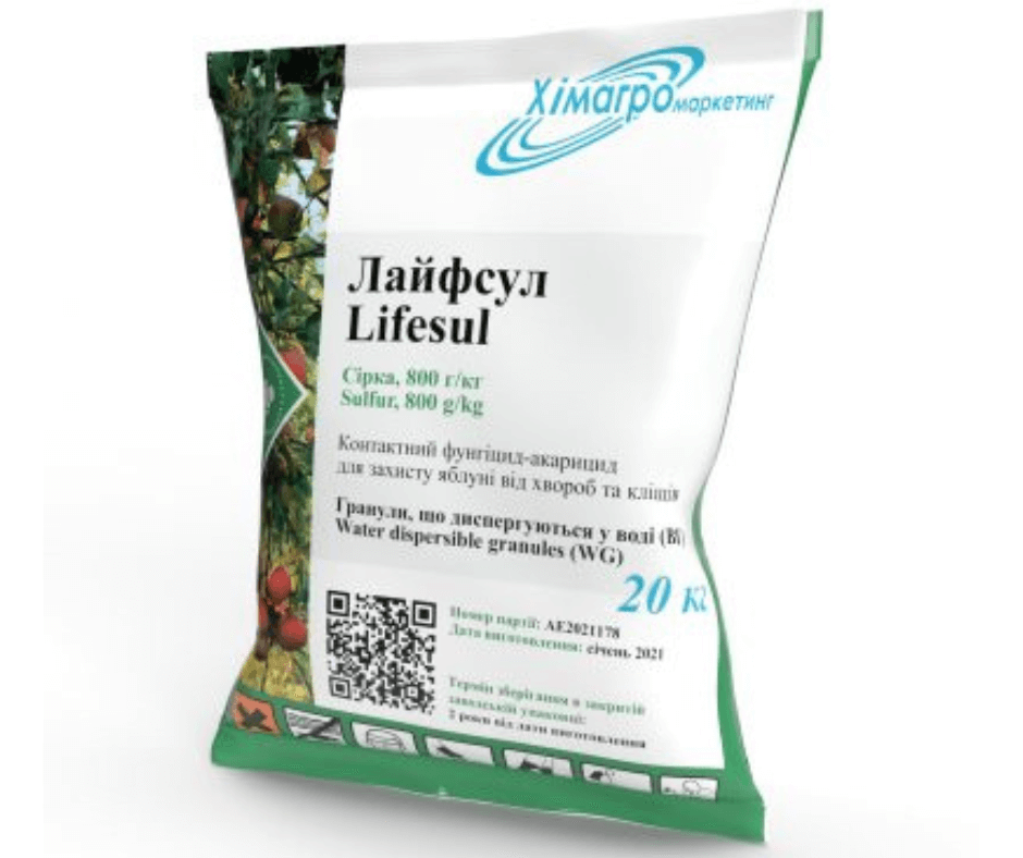 Дизайн без назви 2024 09 10t121122.357 (1)