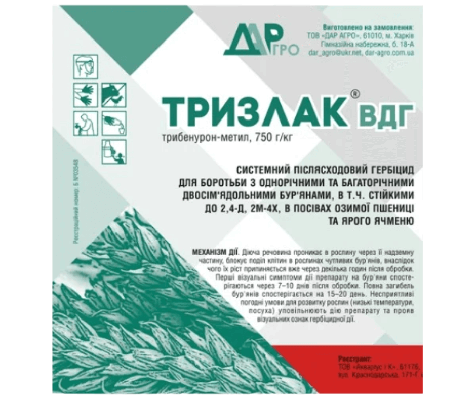 Дизайн без назви 2024 10 31t151610.529 (1)