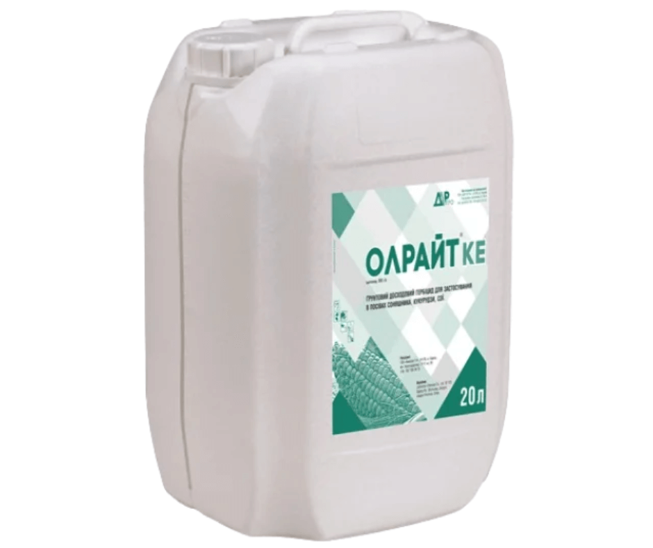 Дизайн без назви 2024 11 04t153914.643 (1)