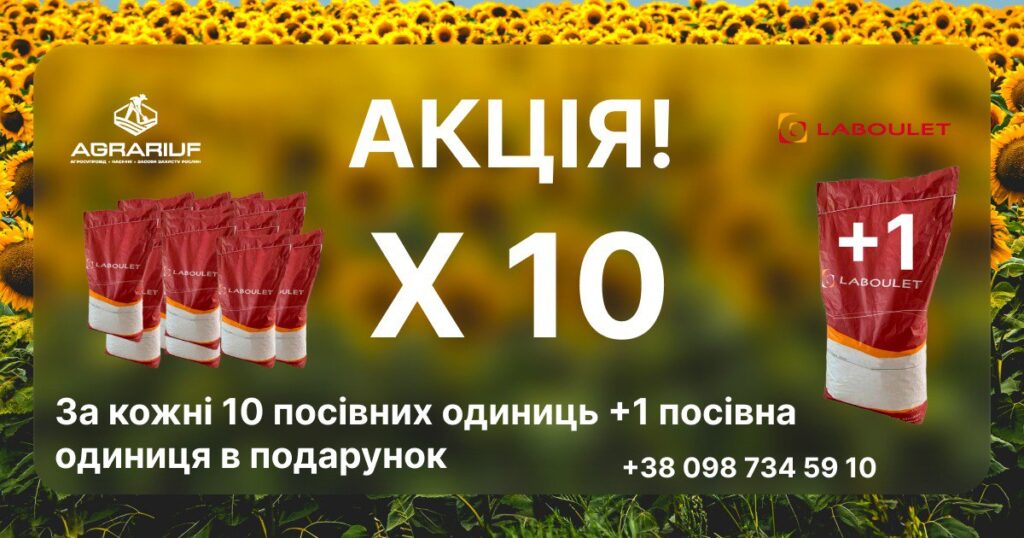 Photo 5332432572543788697 Y