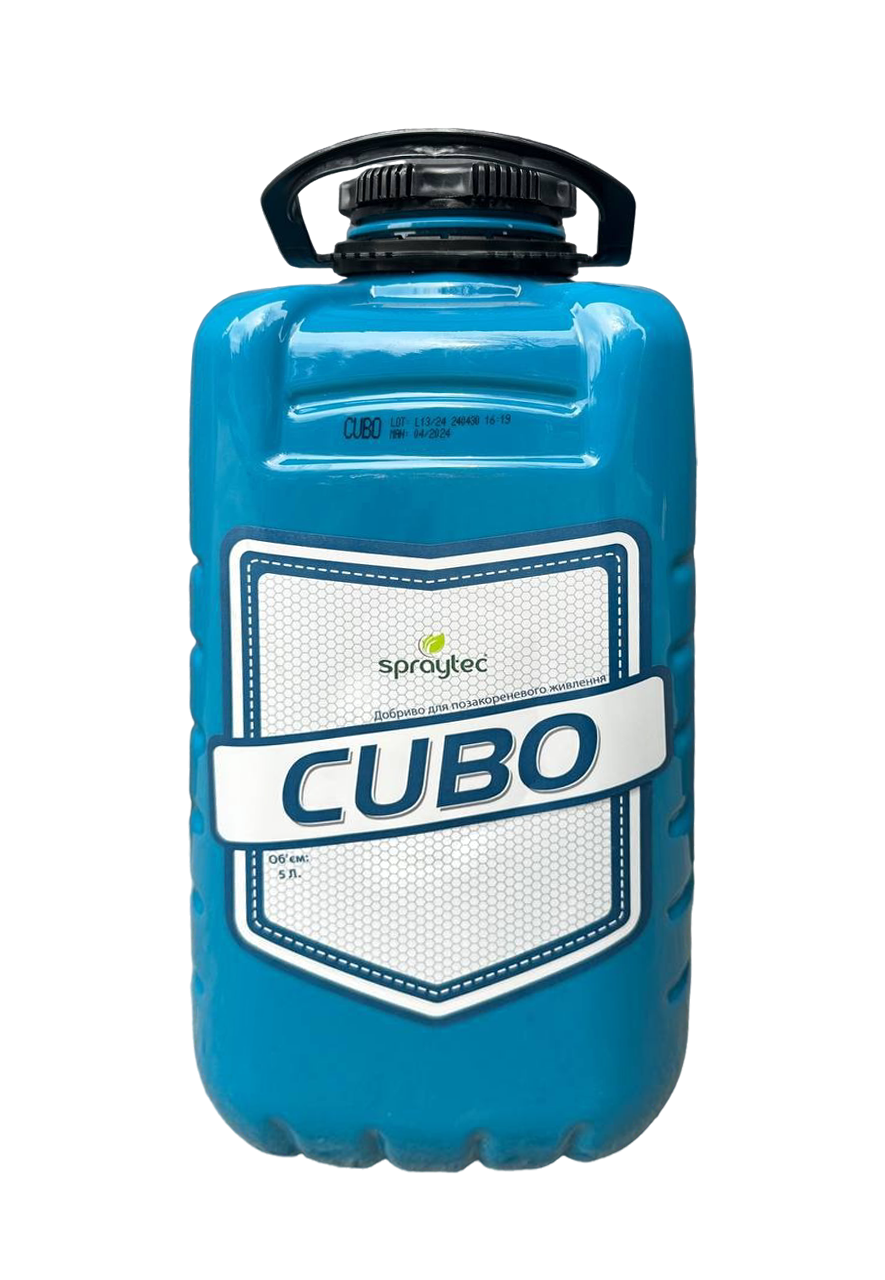 Cubo 1
